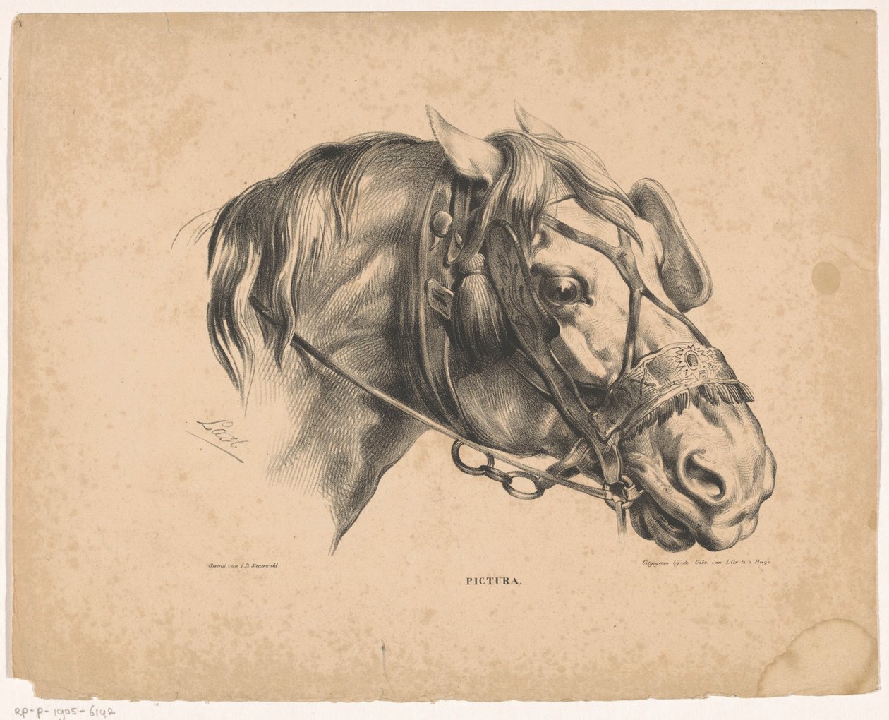 Tête de cheval avec bride (Pictura) - Carel Christiaan Antony Last