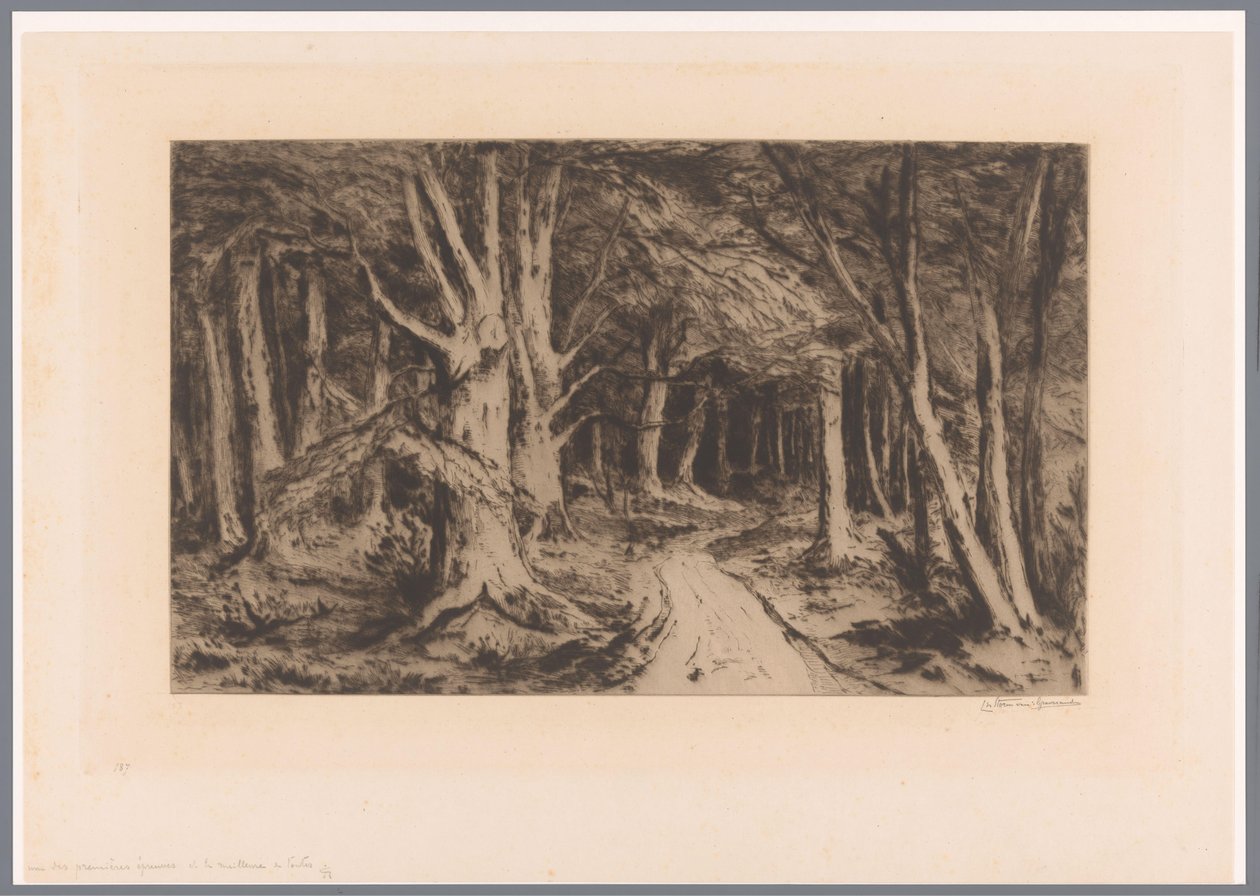 Lisière de forêt avec chemin forestier - Carel Nicolaas Storm van 
