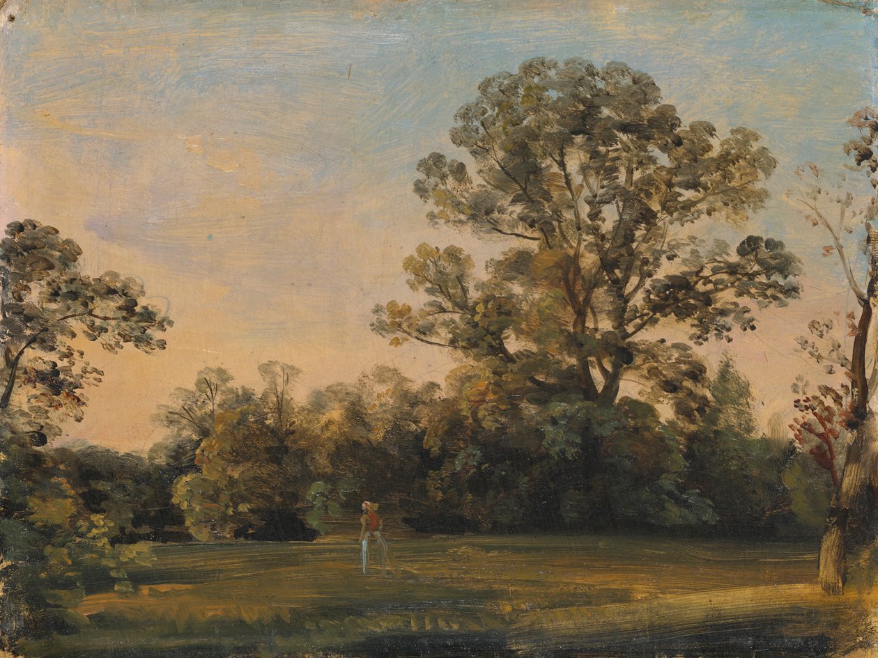 Paysage forestier avec château au bord de l