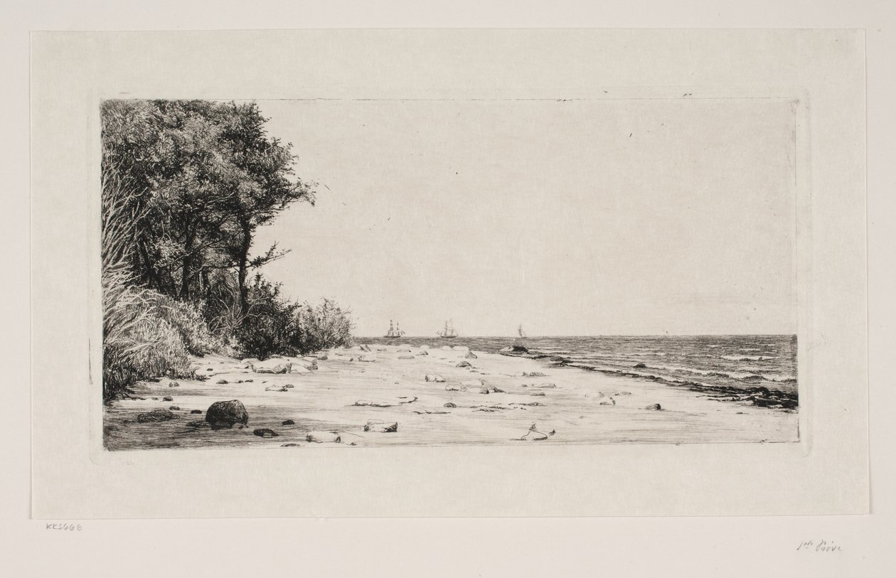 De la côte nord de la Zélande. La plantation de Hornbæk - Carl Bloch