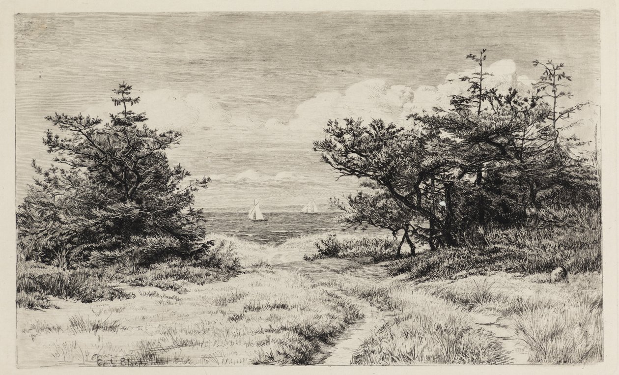 Vue sur la mer - Carl Bloch