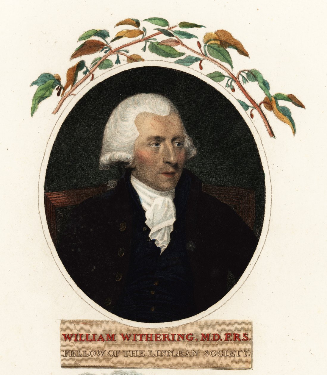 Portrait de William Withering, médecin et botaniste - Carl Frederik van (after) Breda