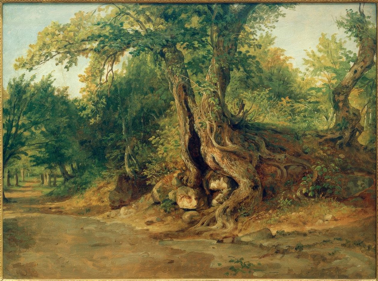 Bois près d