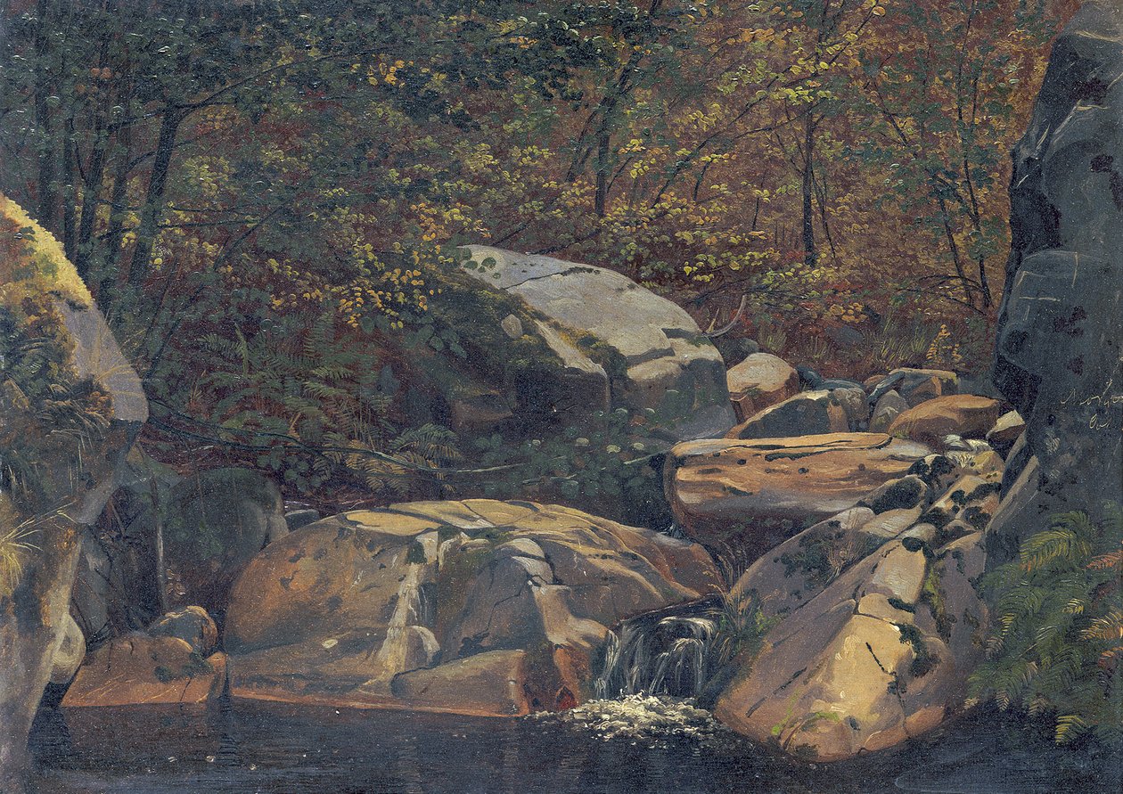 Ruisseau forestier (Cascade entre des rochers) - Carl Morgenstern