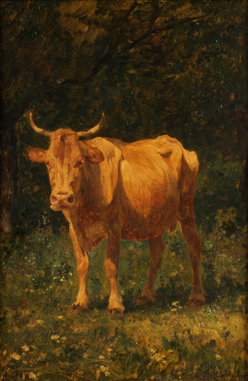 Vache couleur pain - Carl Rudolf Huber