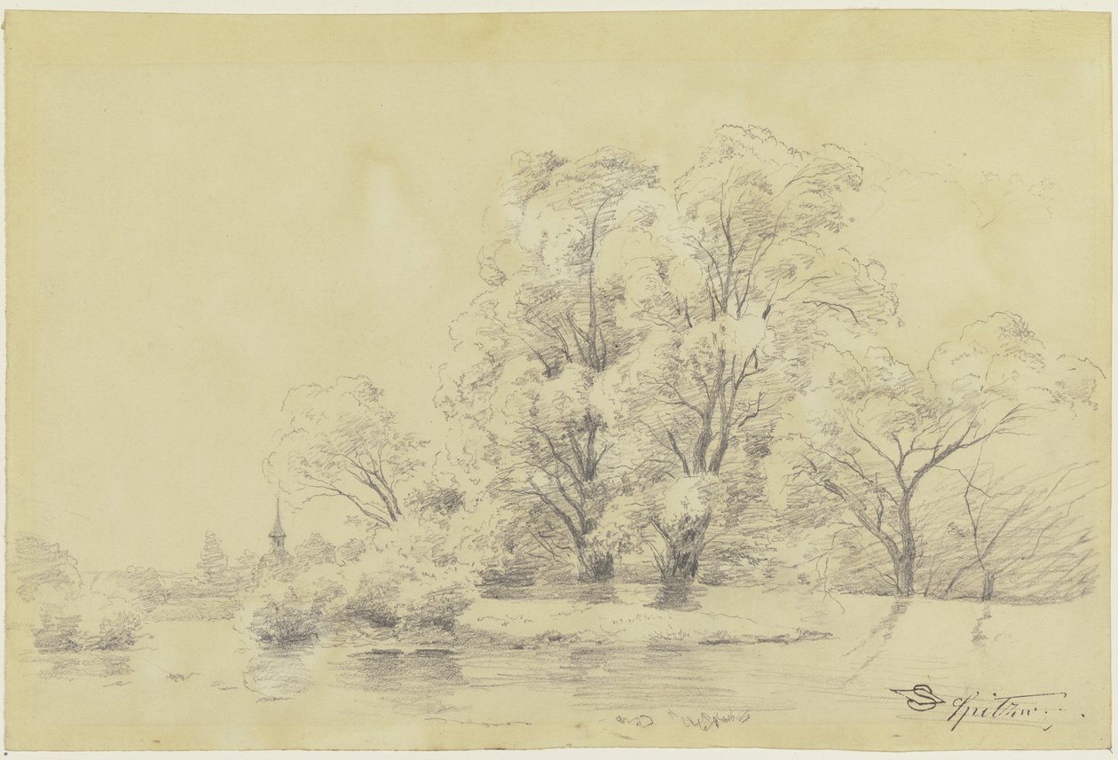 Paysage avec des arbres au bord de l
