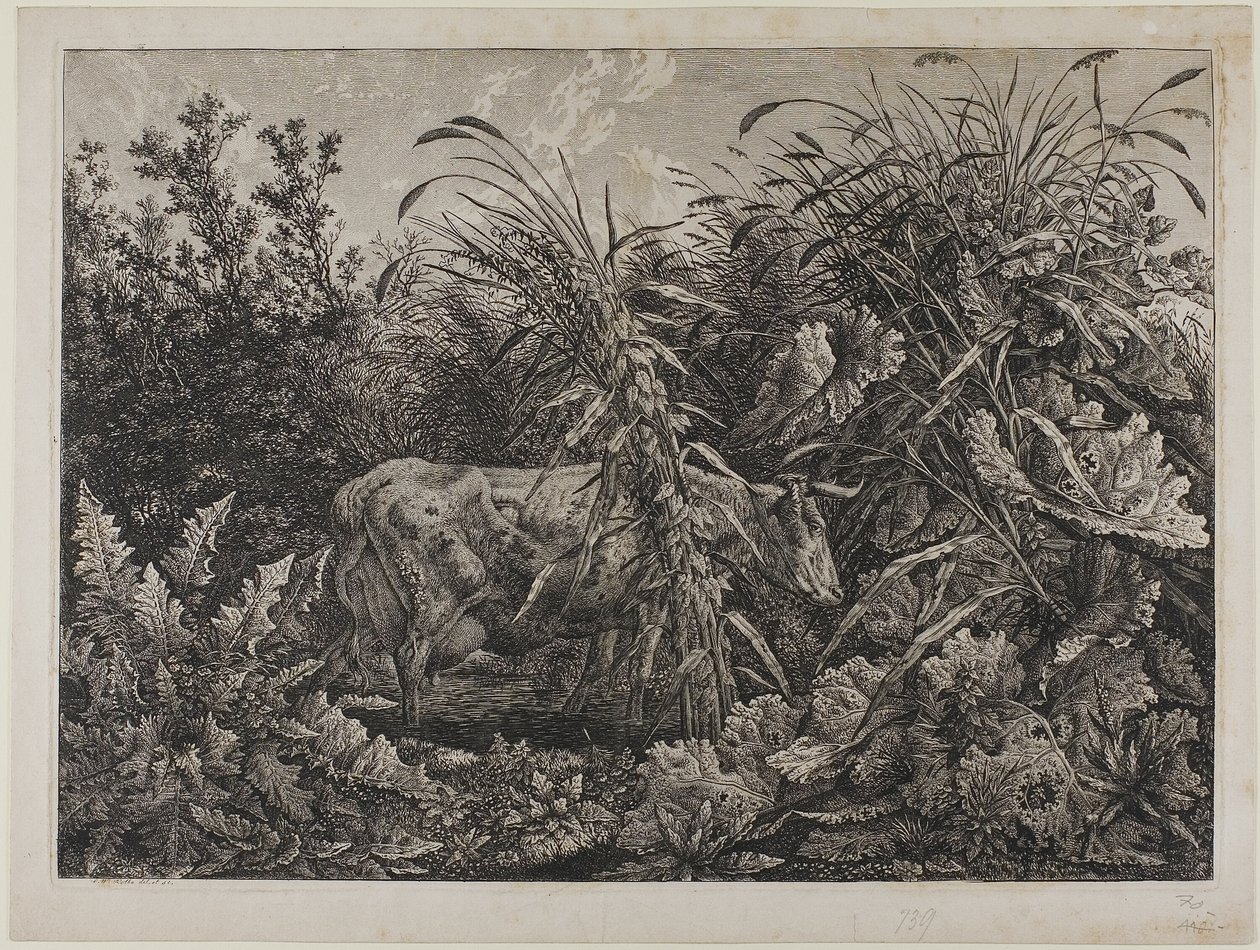 Vache dans un ruisseau - Carl Wilhelm Kolbe the elder