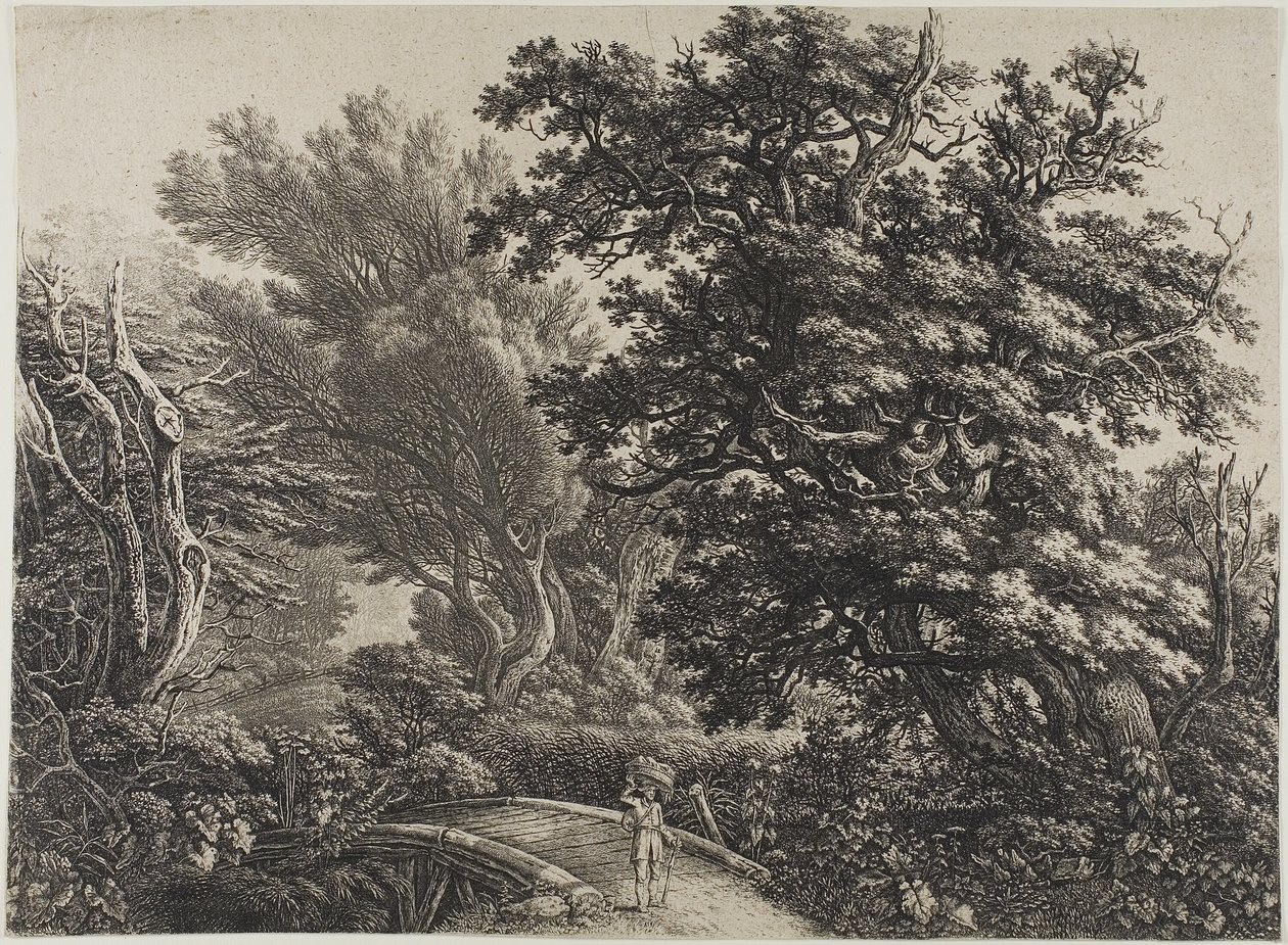 Pont rustique dans un bois enchevêtré - Carl Wilhelm Kolbe, the elder