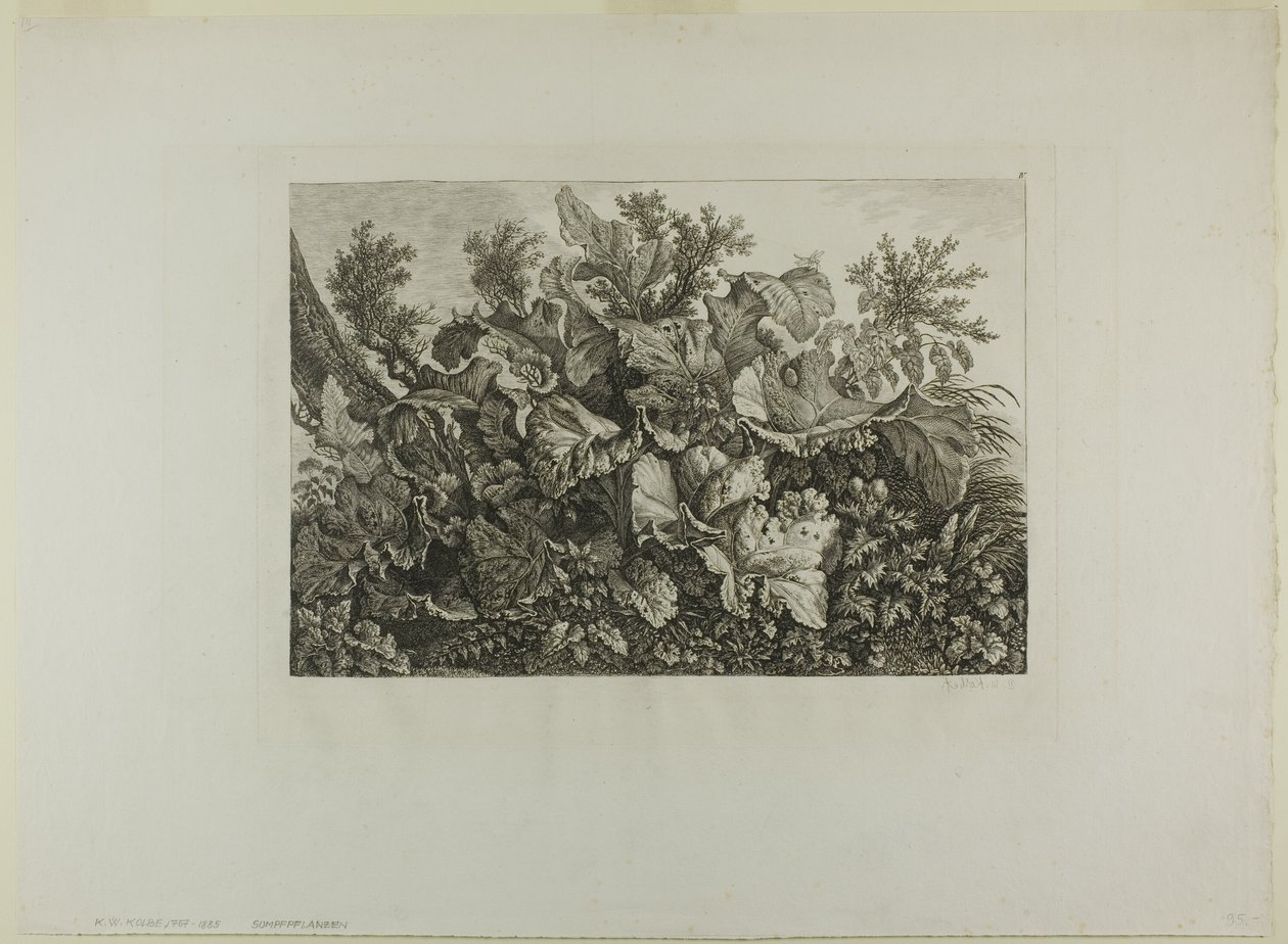 Plantes des marais - Carl Wilhelm Kolbe, the elder