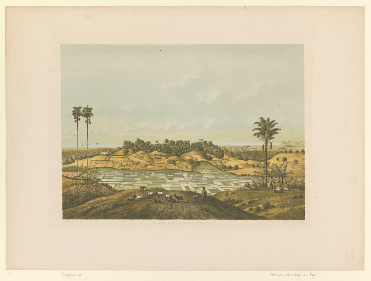 Vue d