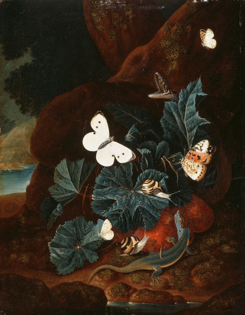 Nature morte au sol forestier avec un lézard, des papillons, un escargot et un serpent - Carl Wilhelm de Hamilton