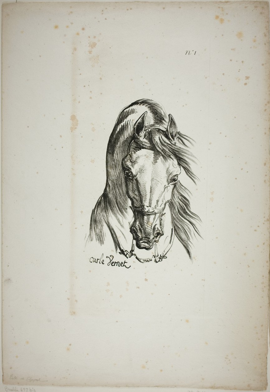 Détail de la tête de cheval, agrandie au triple, Garde royale normande, n° 1 - Carle Vernet