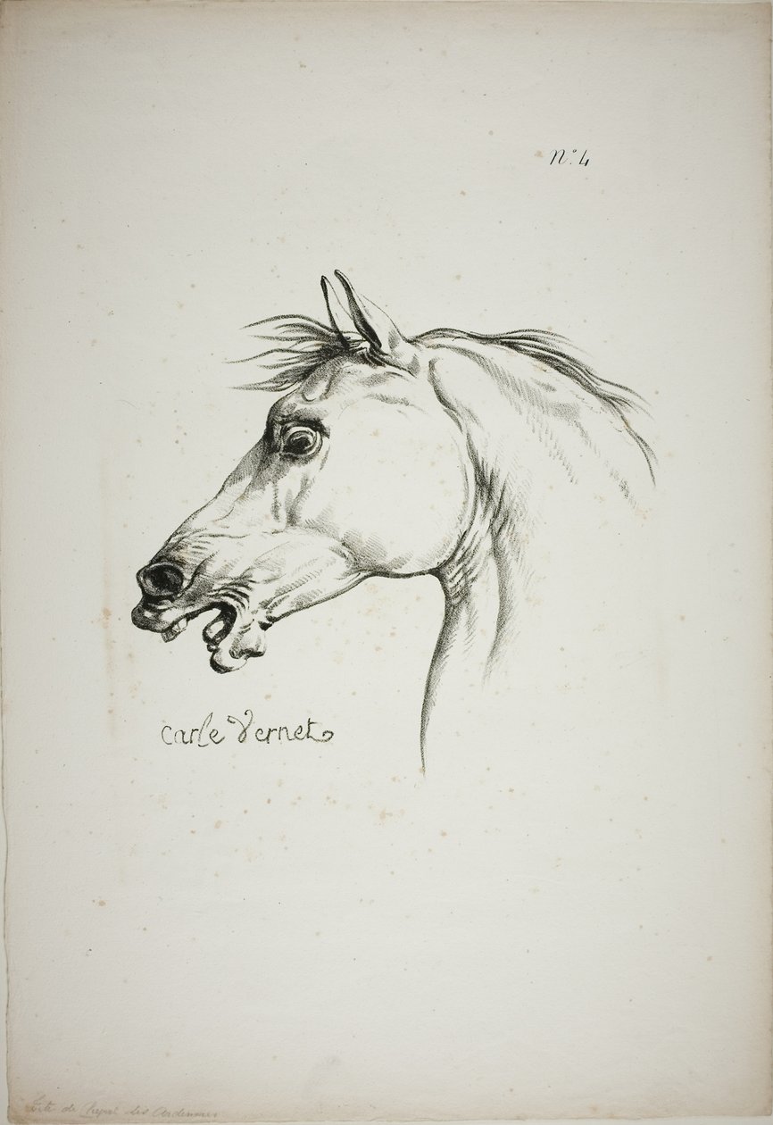 Détail de la tête de cheval, agrandie au triple, Garde royale normande, n° 4 - Carle Vernet