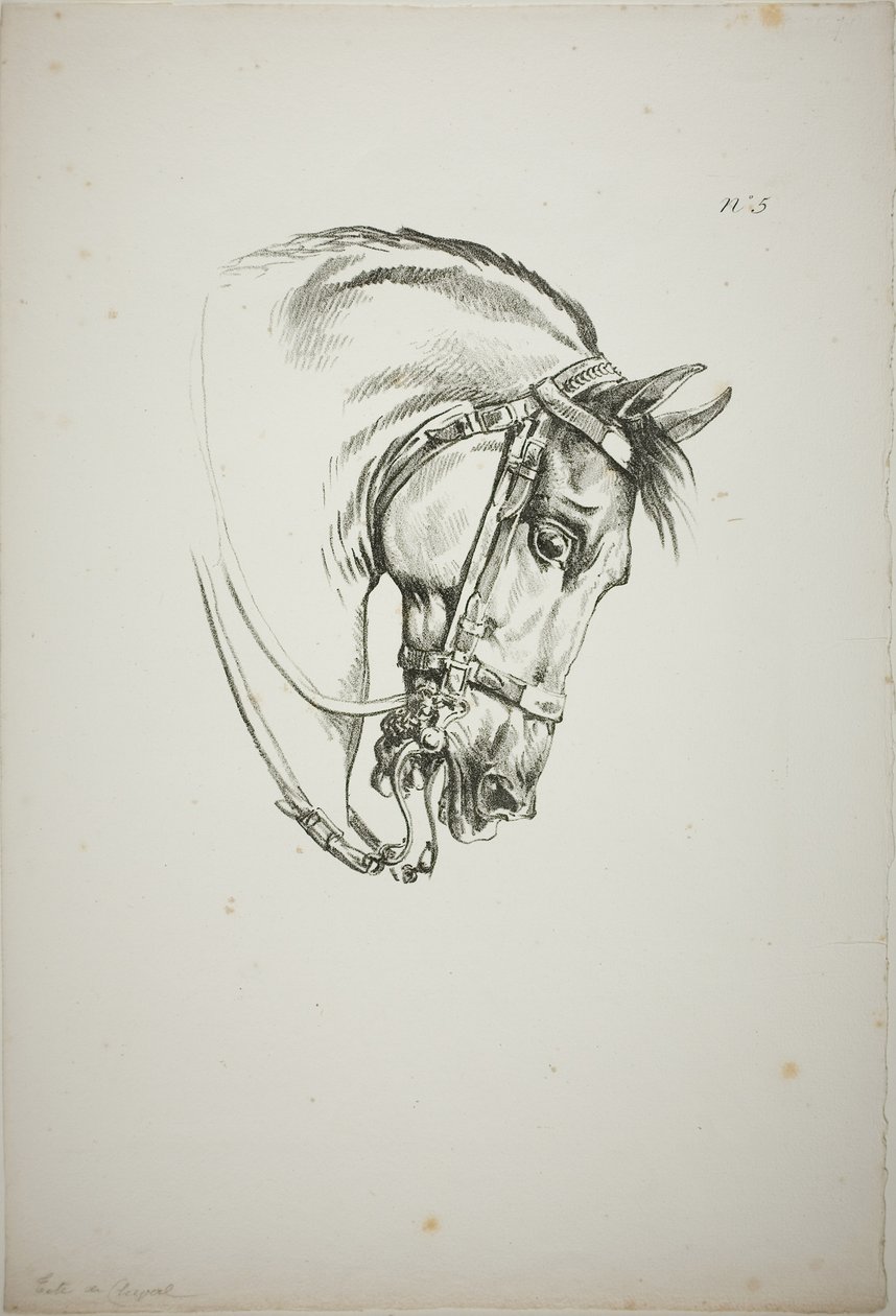 Détail de la tête de cheval, agrandie au triple, Garde royale normande, n° 5, Premier cheval de Limoges - Carle Vernet