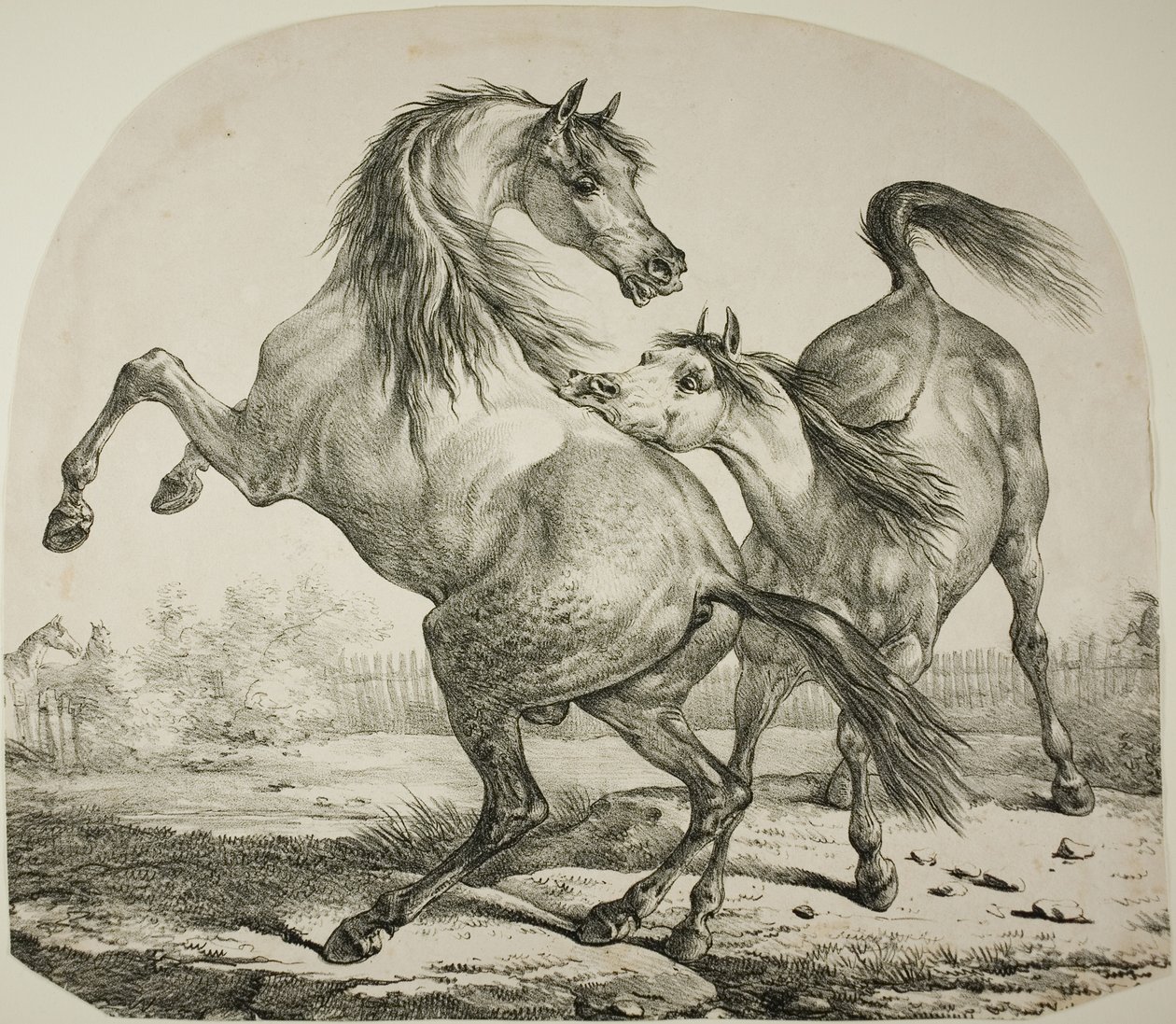 Chevaux sauvages se battant - Carle Vernet