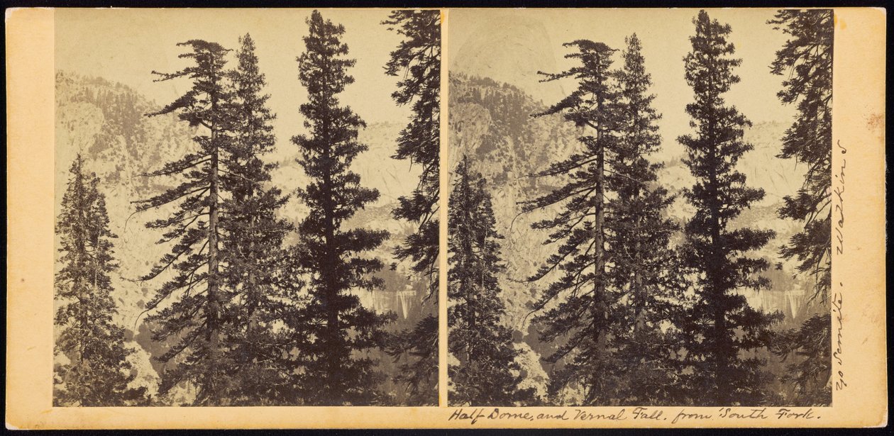 Half Dome et Vernal Fall, depuis South Fork - Carleton E. Watkins