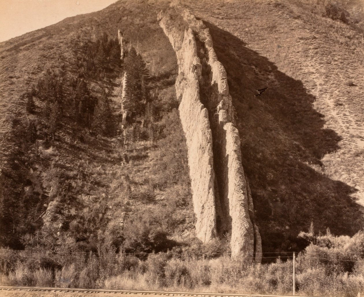 Toboggan du diable - Carleton E. Watkins