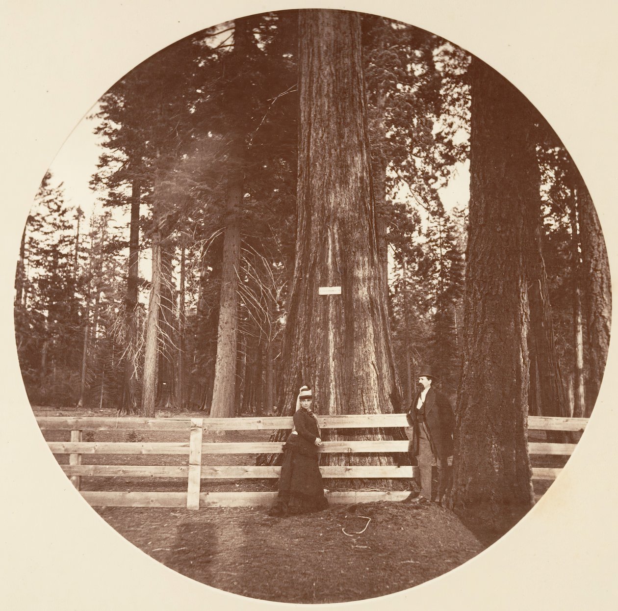 Auld Reckie. C. Grove - Carleton Emmons Watkins