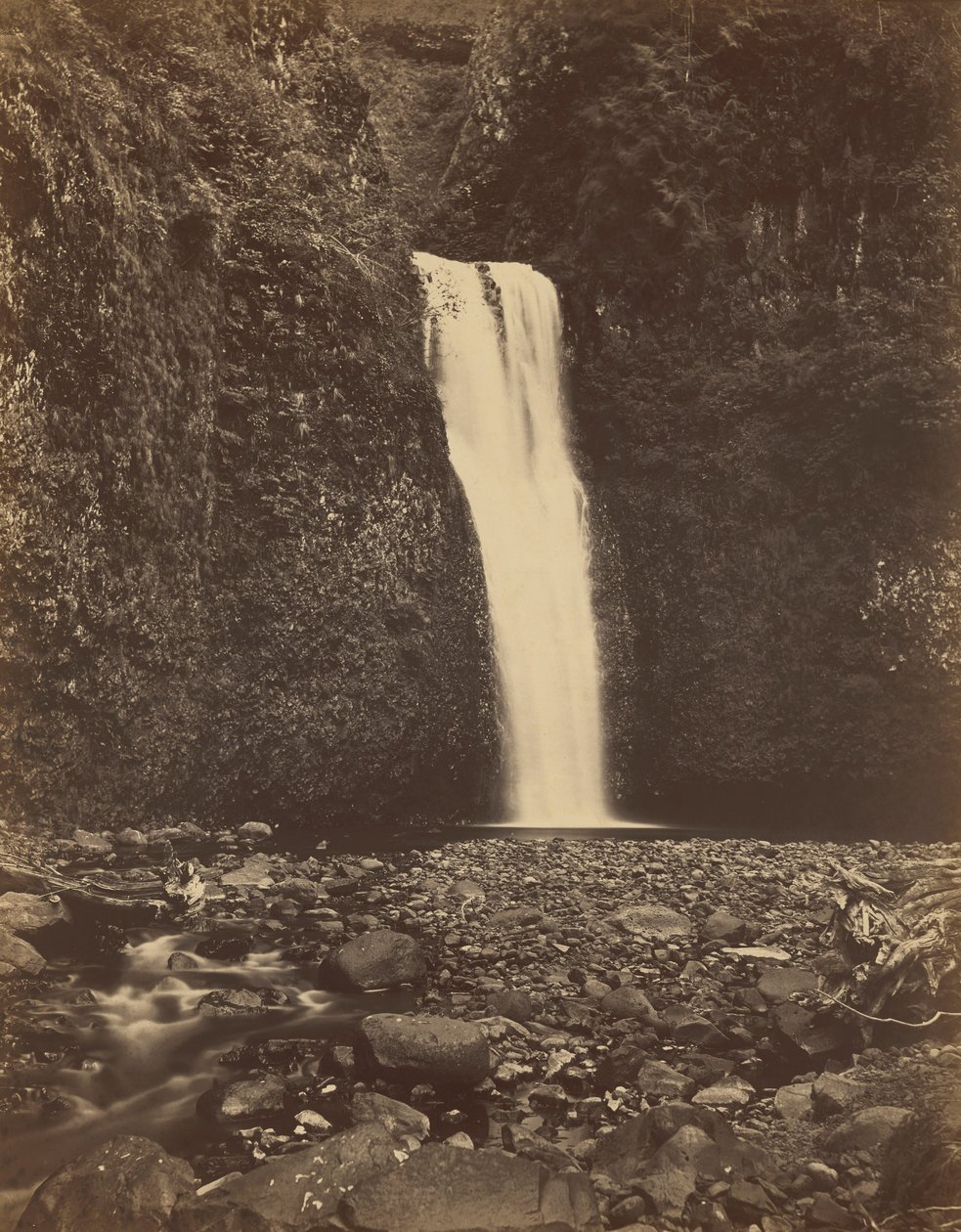 Chutes inférieures de Multnomah, fleuve Columbia, 1867 (photo) - Carleton Emmons Watkins
