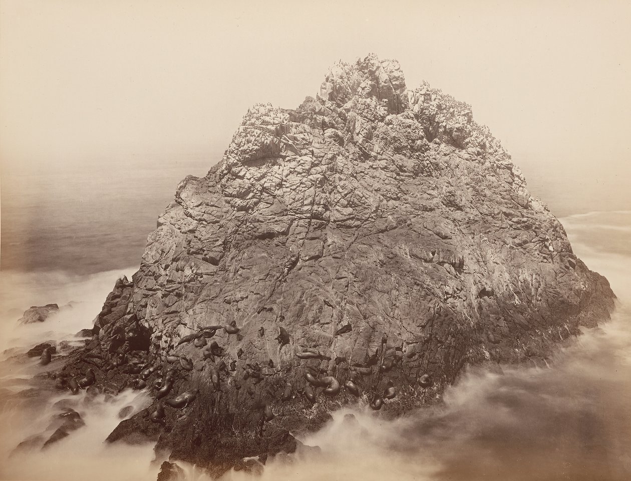 Îles Sugar Loaf, Farallons, 1868-69 - Carleton Emmons Watkins