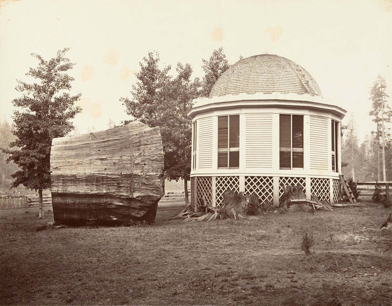 La maison sur une souche d