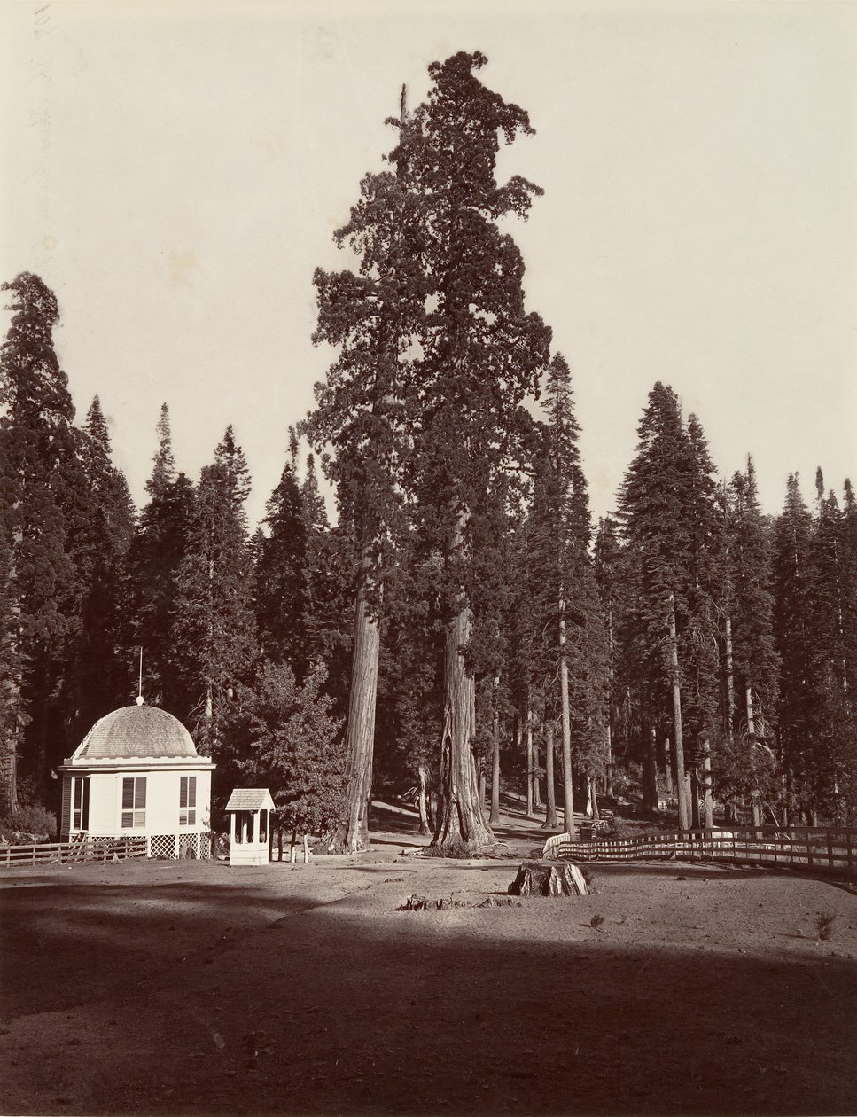 Le Sentinelle, 315 pieds, 1865-66, imprimé vers 1876 - Carleton Emmons Watkins