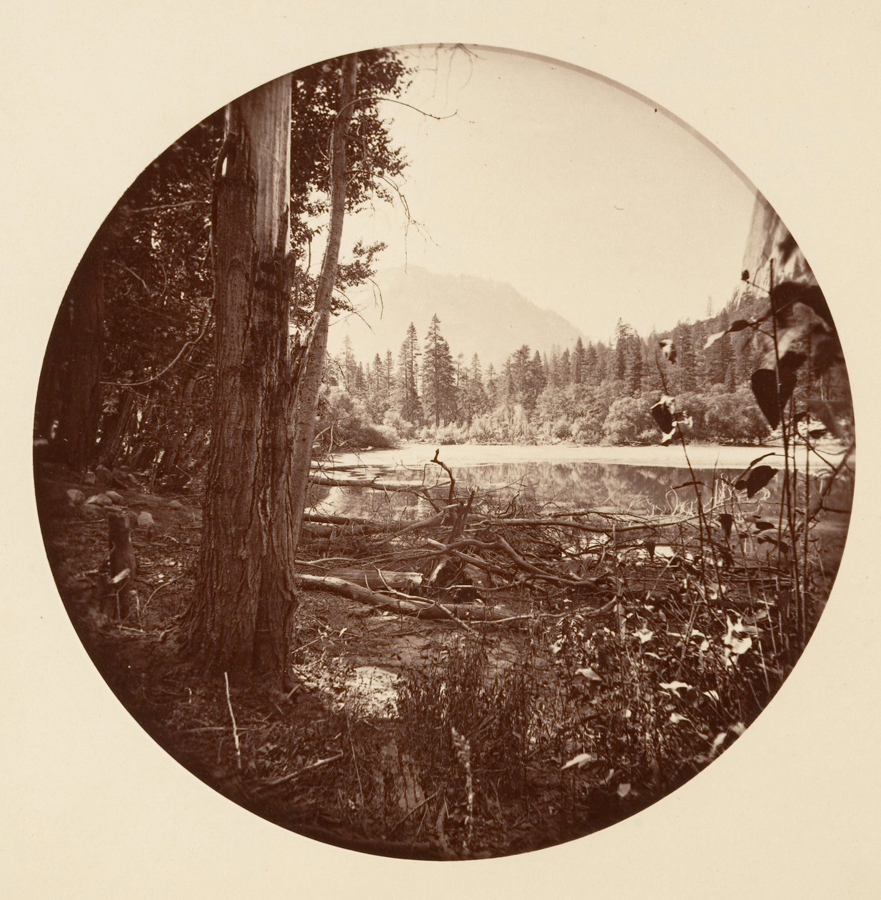 [Parc national de Yosemite, Californie], ca. 1878 - Carleton Emmons Watkins