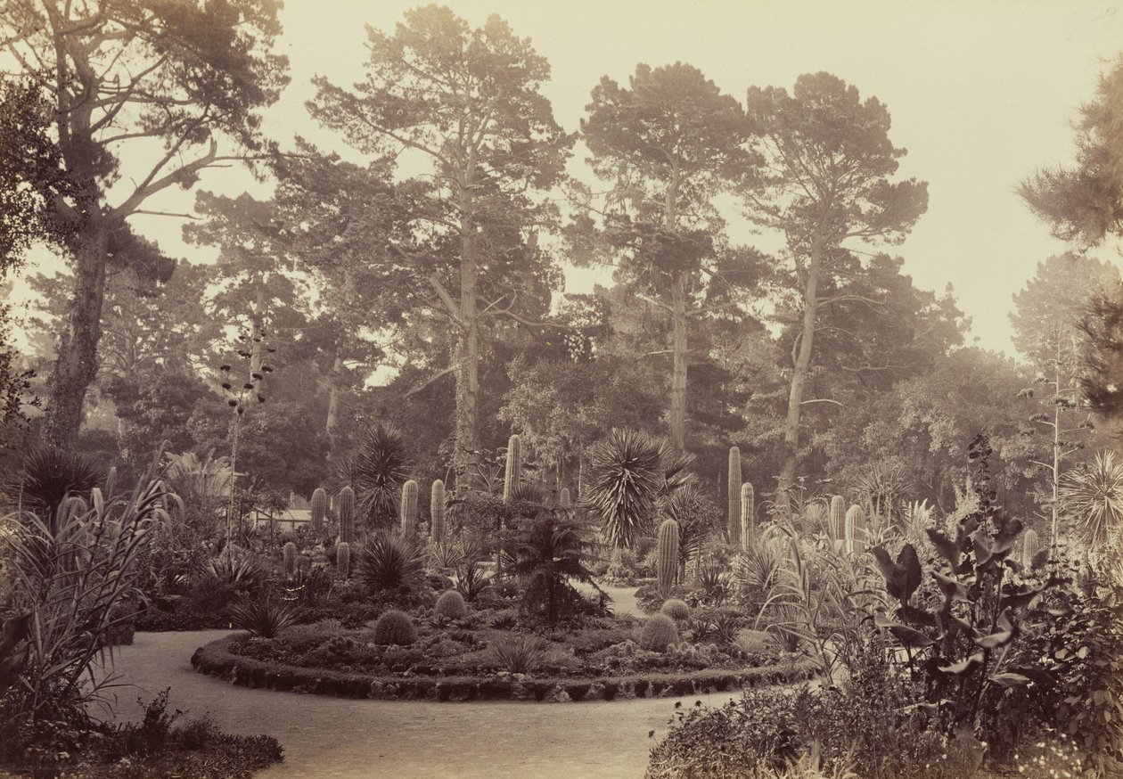 [Jardin d