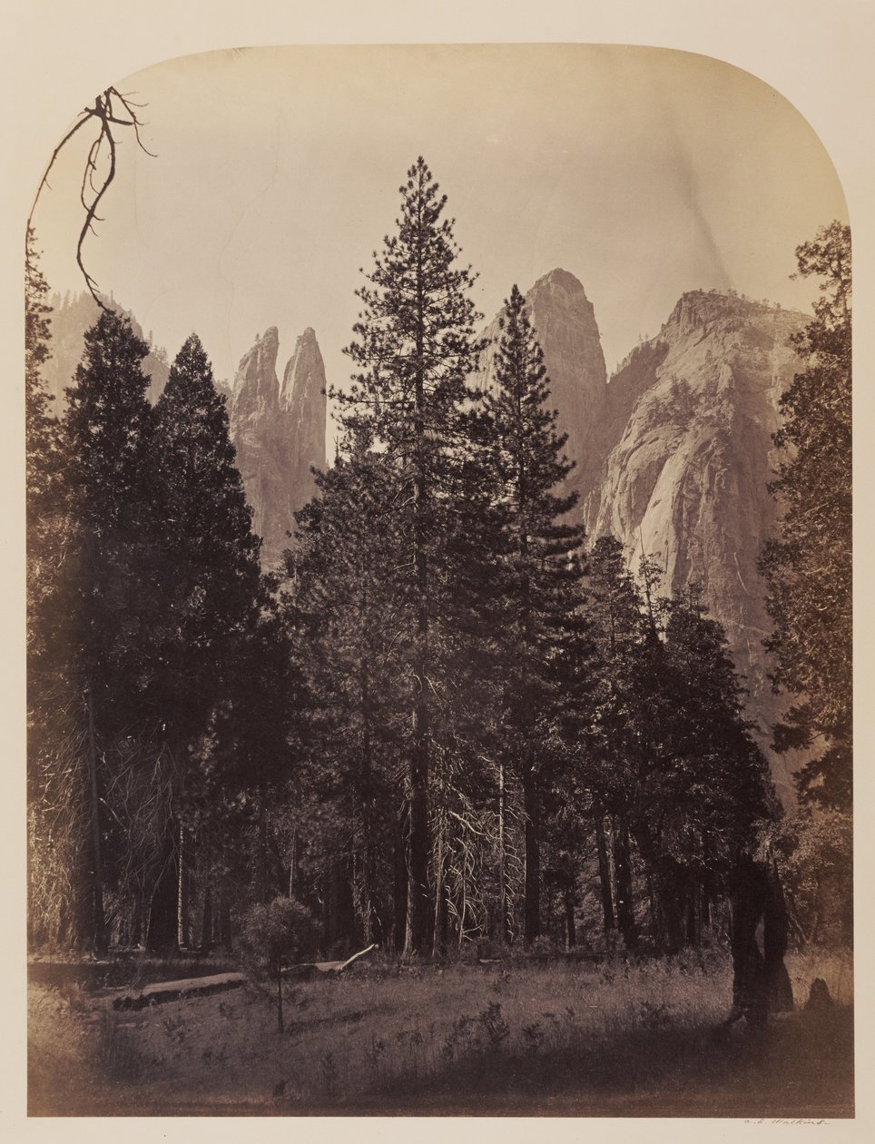 Flèches de cathédrale - Yosemite - Carleton Watkins