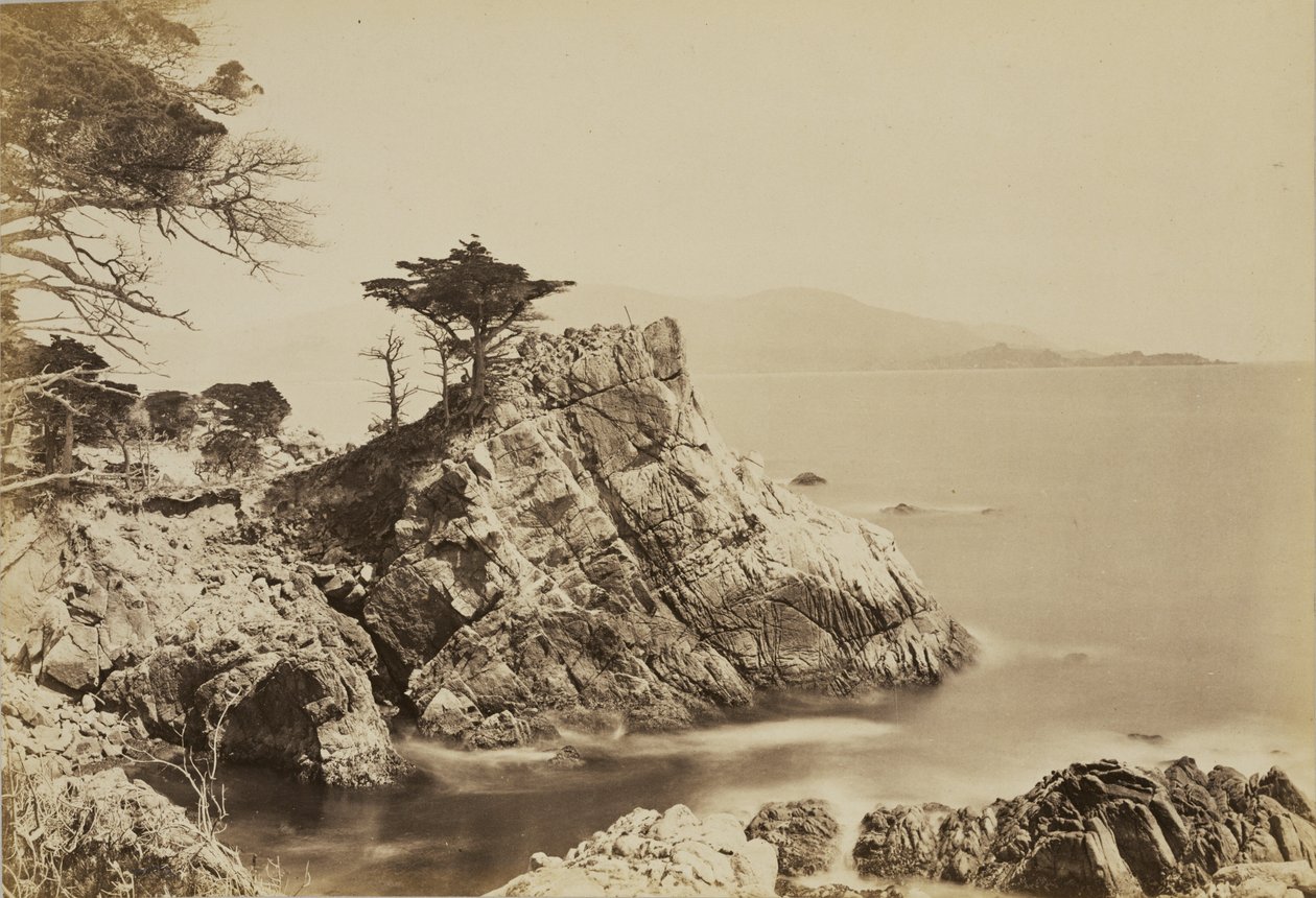 [Cypress Point] - Carleton Watkins