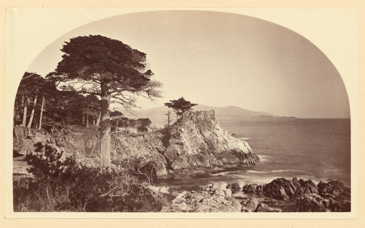 [Cypress Point depuis Cypress Drive, Monterey, Californie] - Carleton Watkins