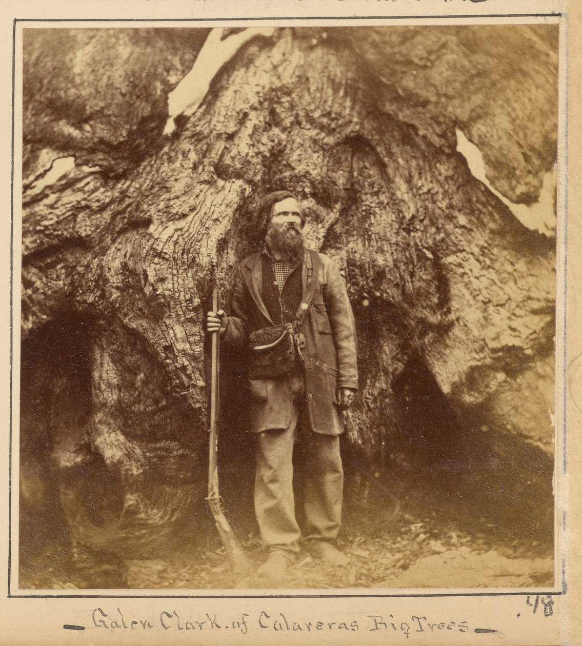 Galen Clark, Esq., Mariposa Grove, comté de Mariposa, Californie - Carleton Watkins