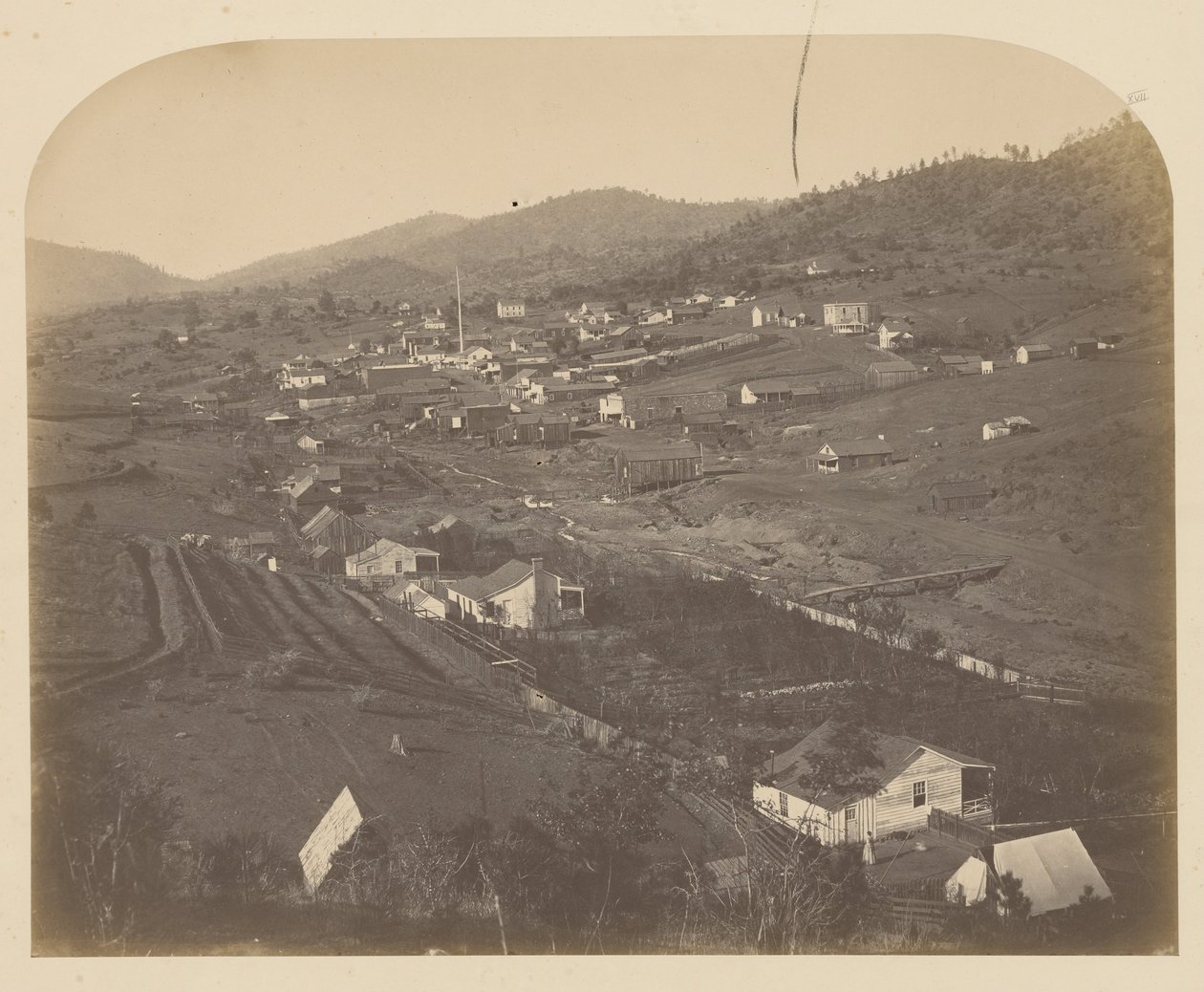 Mariposa - Est - Carleton Watkins