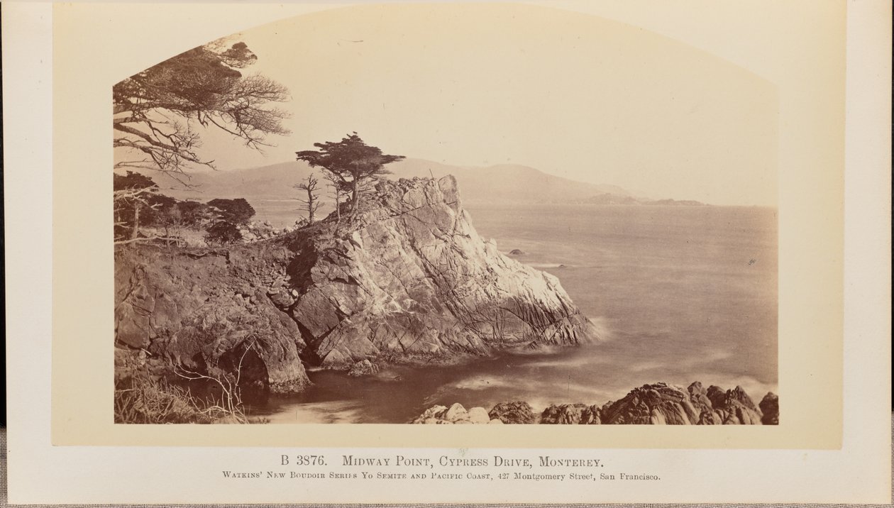 Midway Point, Cypress Drive, Monterey - Carleton Watkins