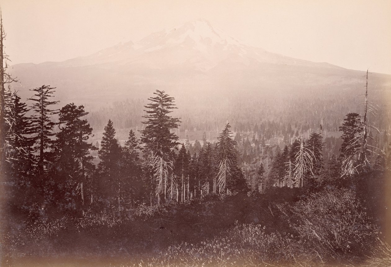 Mont Shasta - Carleton Watkins