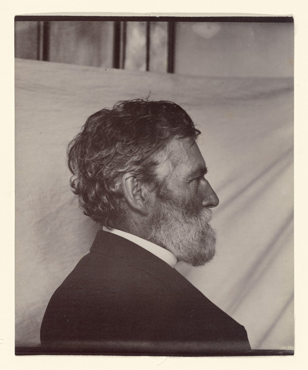 Portrait de George Davidson - Carleton Watkins