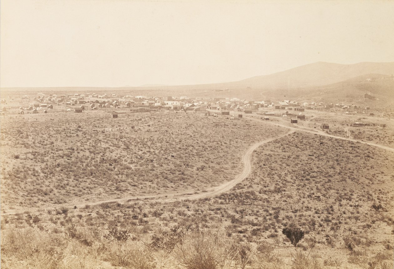 [Tombstone, Arizona] - Carleton Watkins