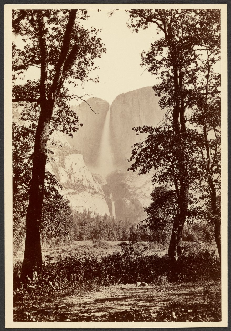 Les chutes du Yosemite - Carleton Watkins