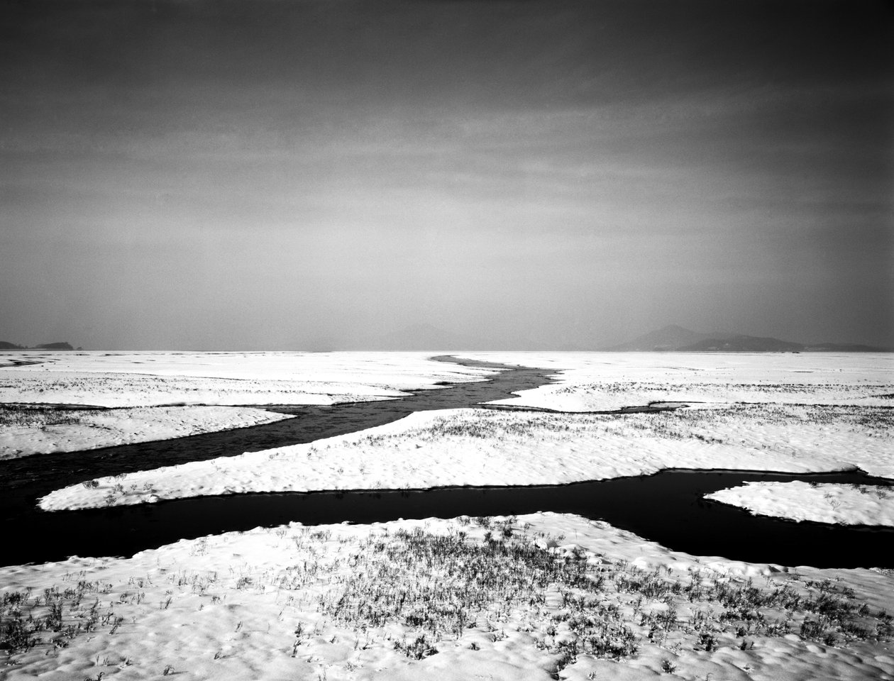 Pour toujours à la mer, 2012 - Carli Choi