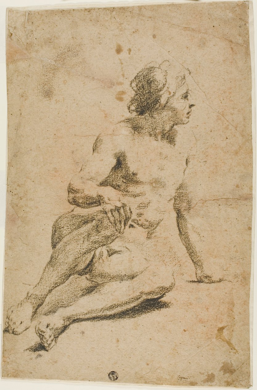 Nu masculin assis - Carlo Cignani