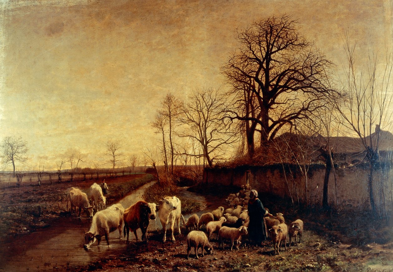 Animaux conduits à l