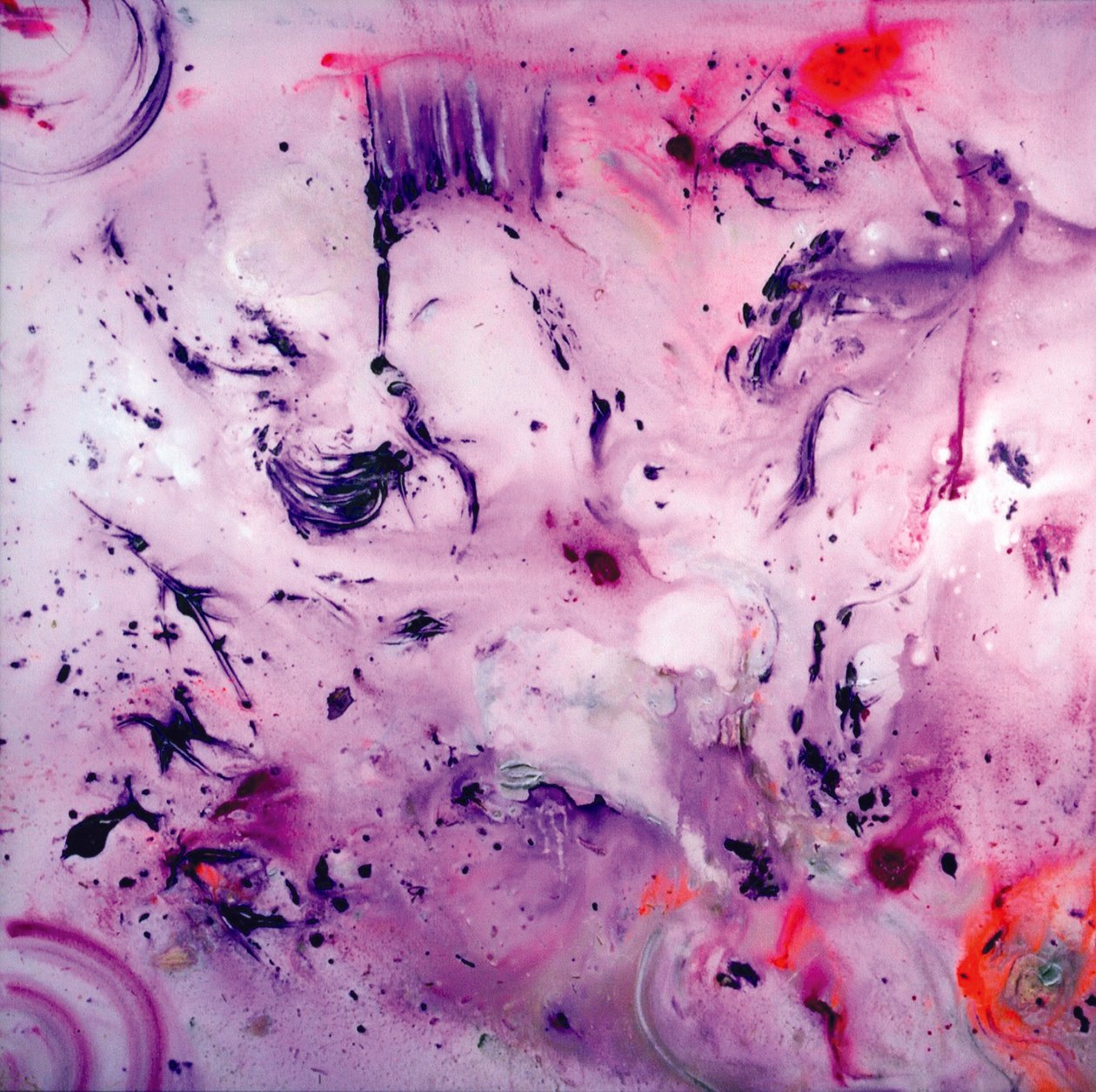 Blanche Oiseau - Carolyn Mary Kleefeld