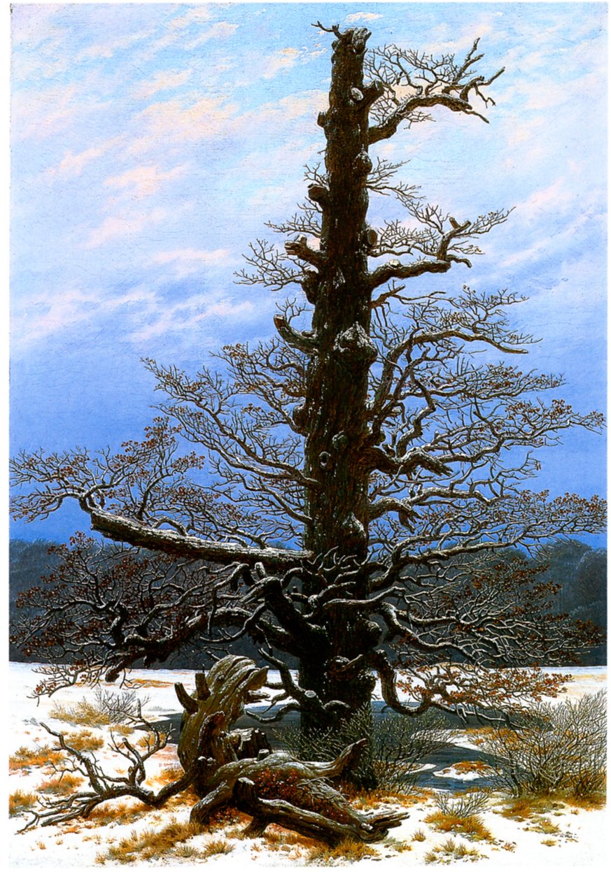 French : Le chêne dans la neige The Oaktree in the Snow - Caspar David Friedrich