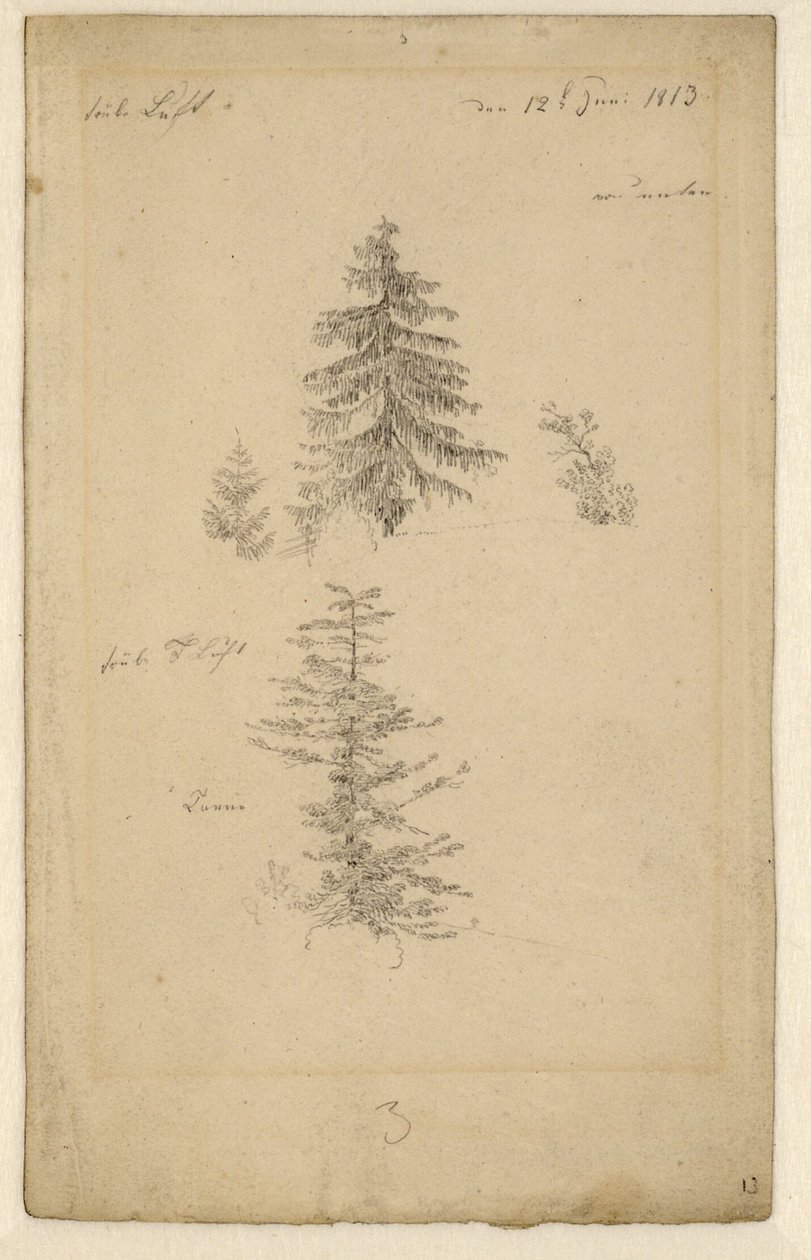 Allemand : Zwei Tannenstudien Deux études sur les sapins - Caspar David Friedrich