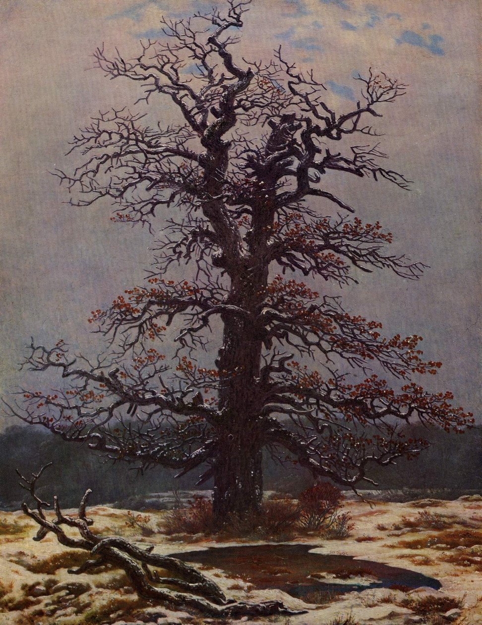 Chêne dans la neige - Caspar David Friedrich