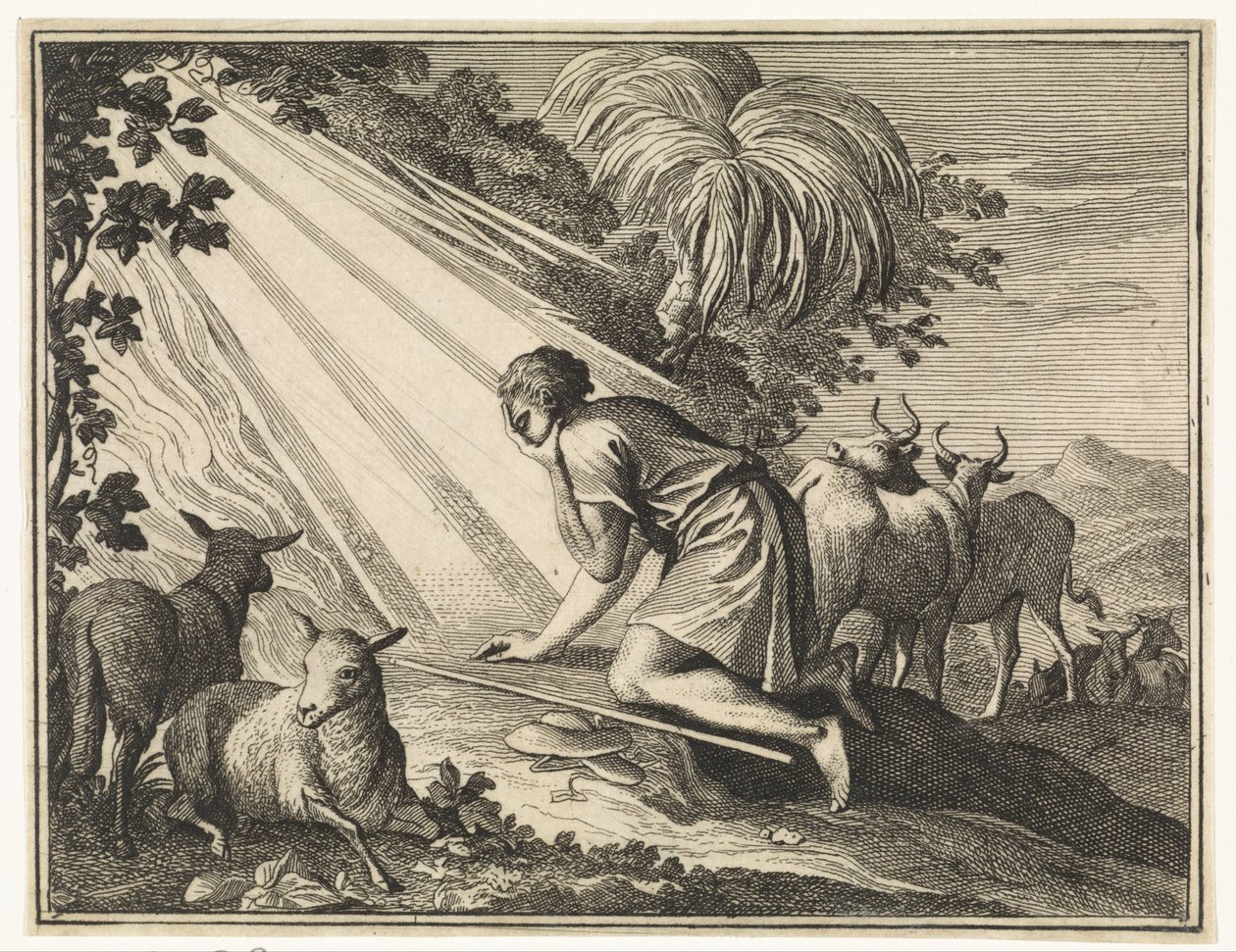 Moïse s
