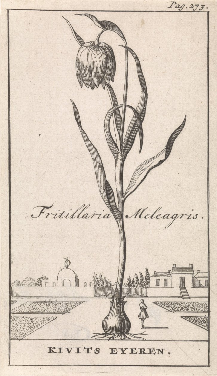 Page de titre et huit estampes avec des fleurs - Caspar Luyken
