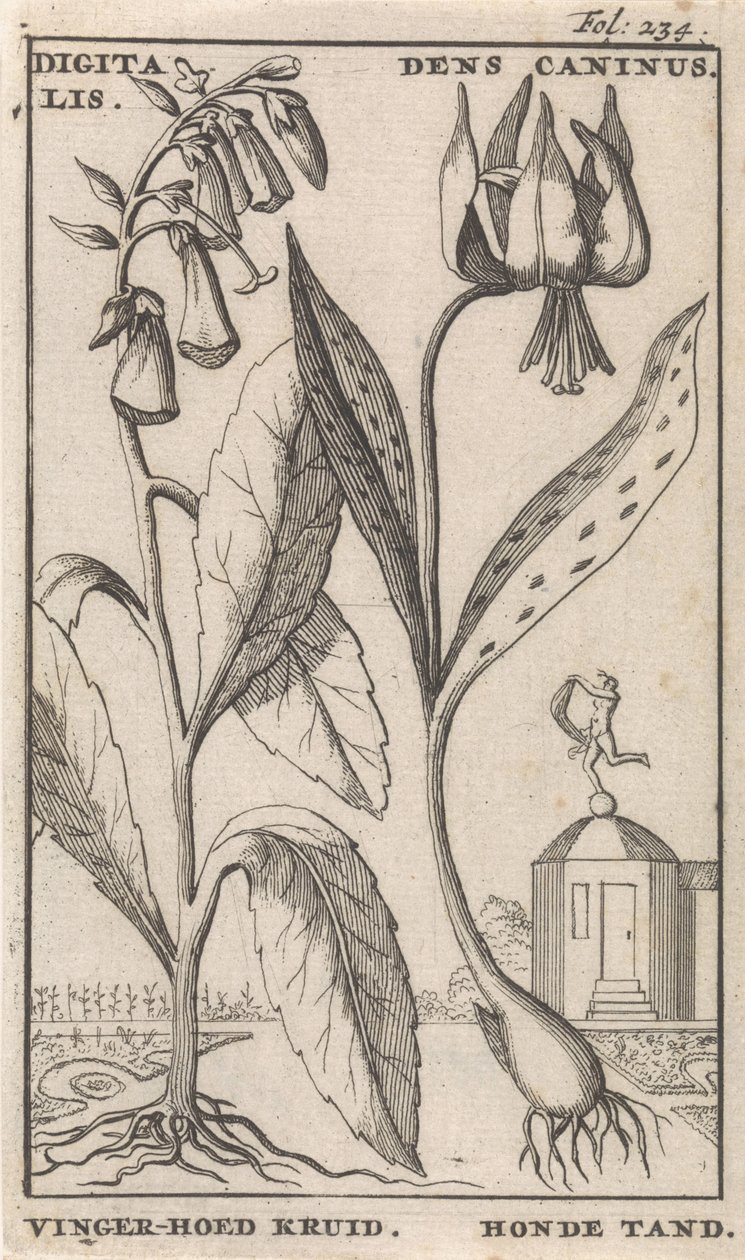 Page de titre et huit estampes avec des fleurs - Caspar Luyken