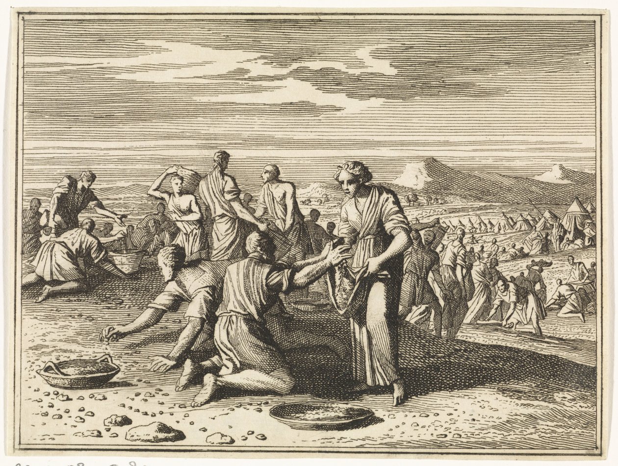 La récolte de la manne dans le désert - Caspar Luyken