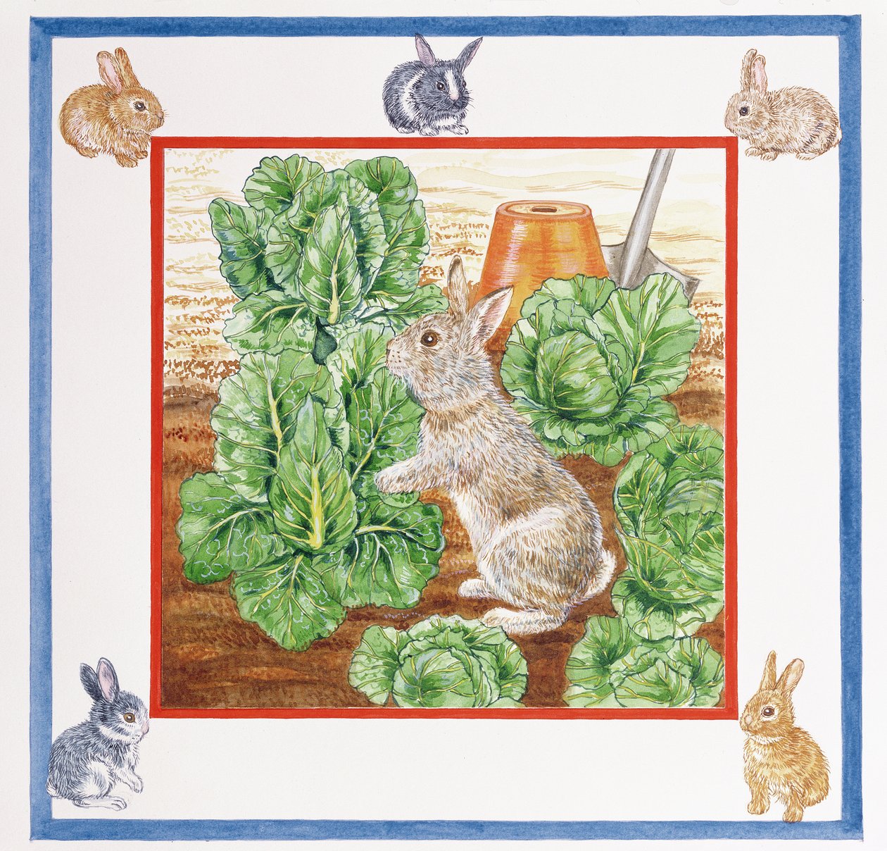 Un Lapin dans le Champ de Choux - Catherine Bradbury